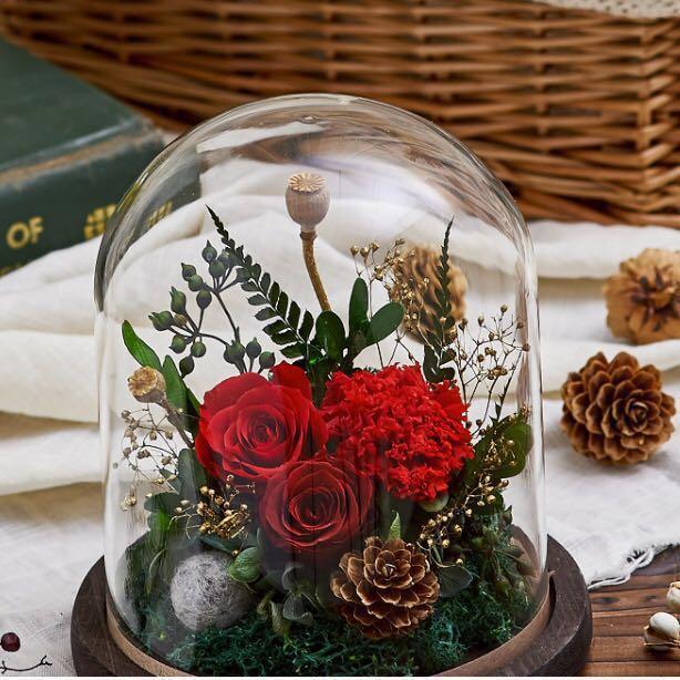Preserved Fresh Flowers In Bell Jar Imported Eternal Flower D5 Red Rose Carnation Gardening Flowers Bouquets On Carousell