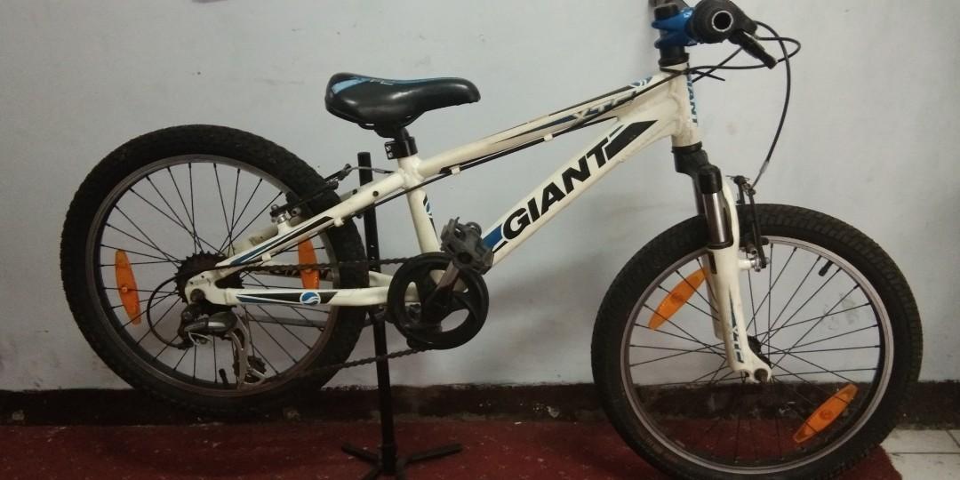 Sepeda Giant Xtc 20 Sports Bicycles On Carousell