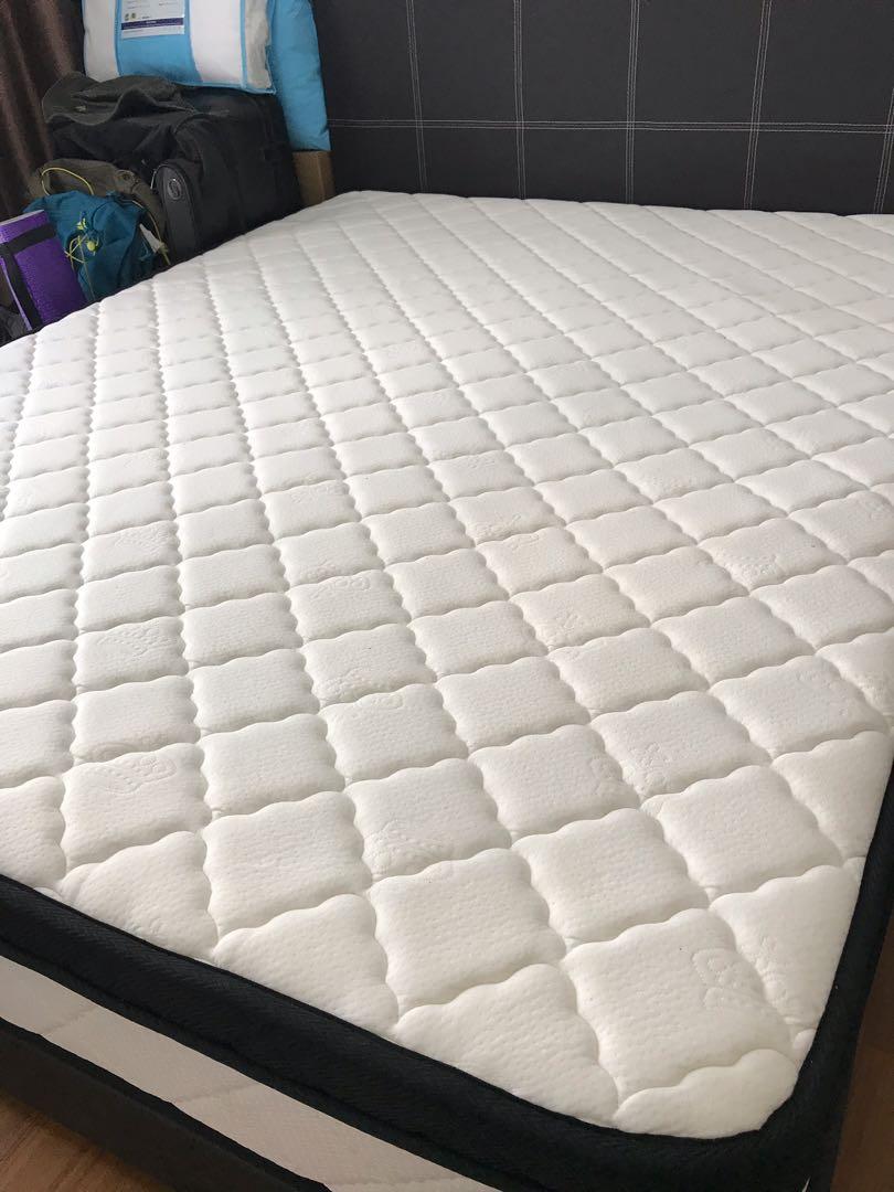 Boston 10 Euro Top Double Mattress And Bed Frame Furniture