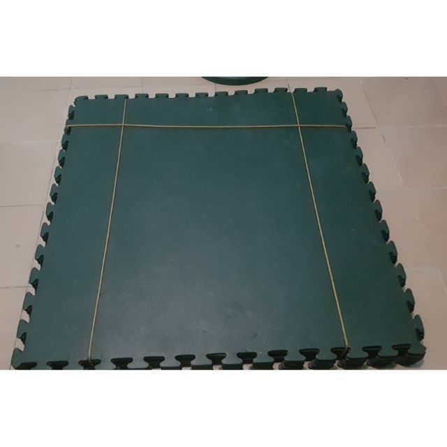 Ensayo Gym Matts Thick, Sports Equipment, Other Sports Equipment and