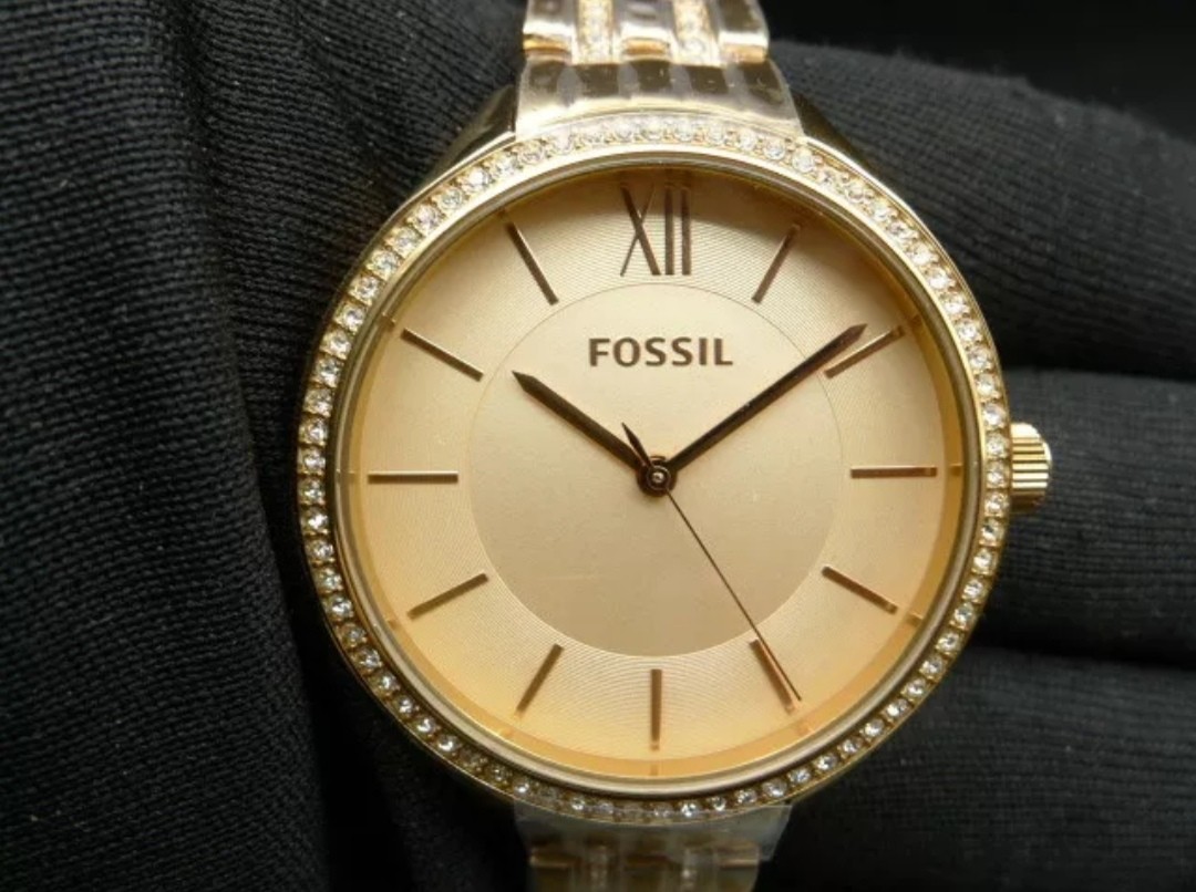 Bq3116 fossil new arrivals