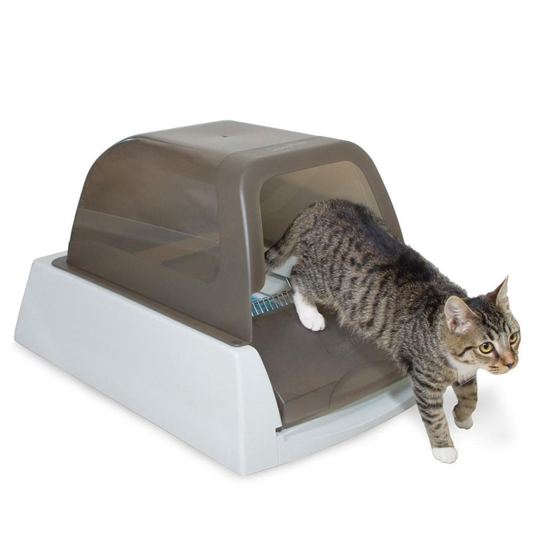petsafe box