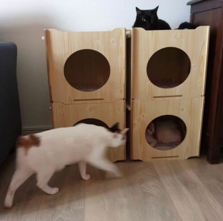 stackable cat beds