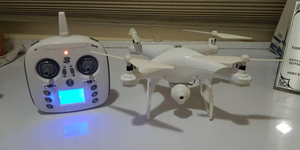 Drone flying pigeon sales