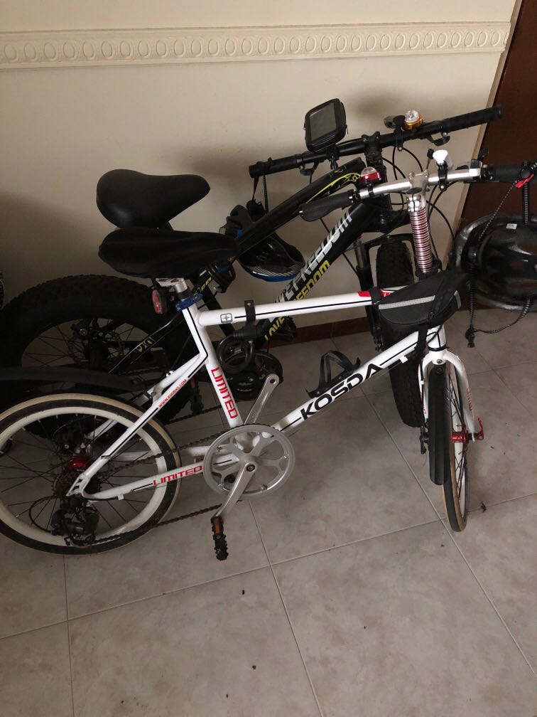 lightweight fat bike