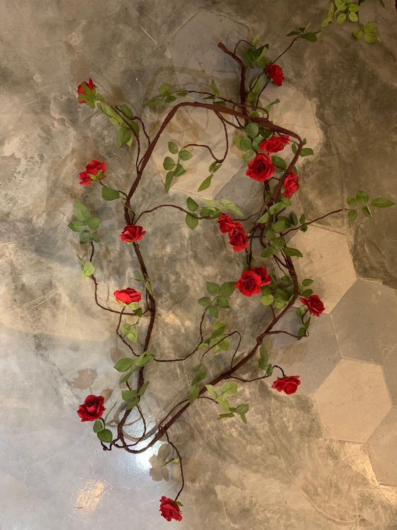 Arti Roses On Vines Red White Gardening Flowers Bouquets On Carousell