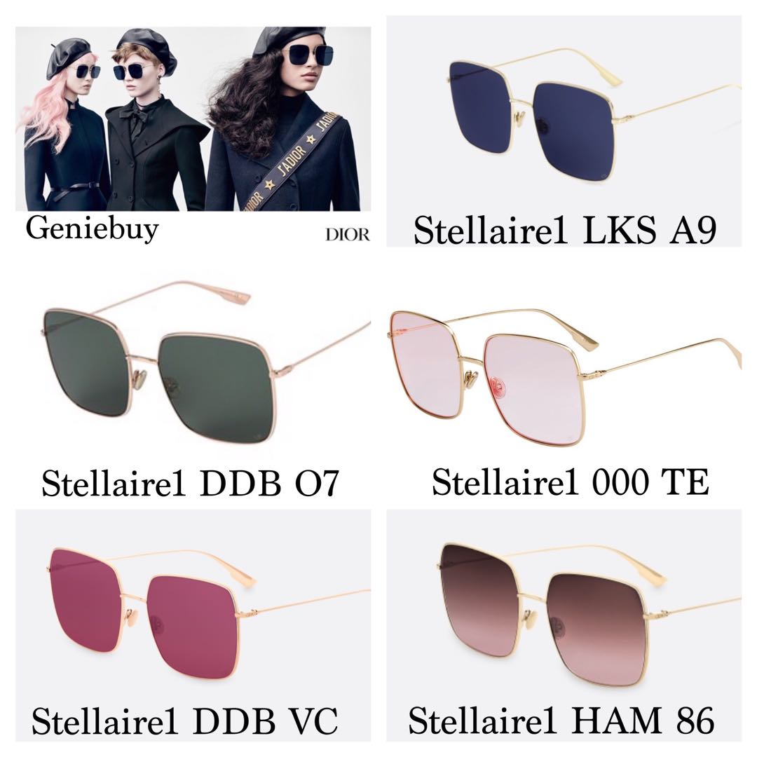 Dior Stellaire1 Sunglasses