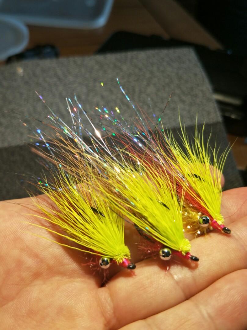 Peacock bass fly fishing clearance