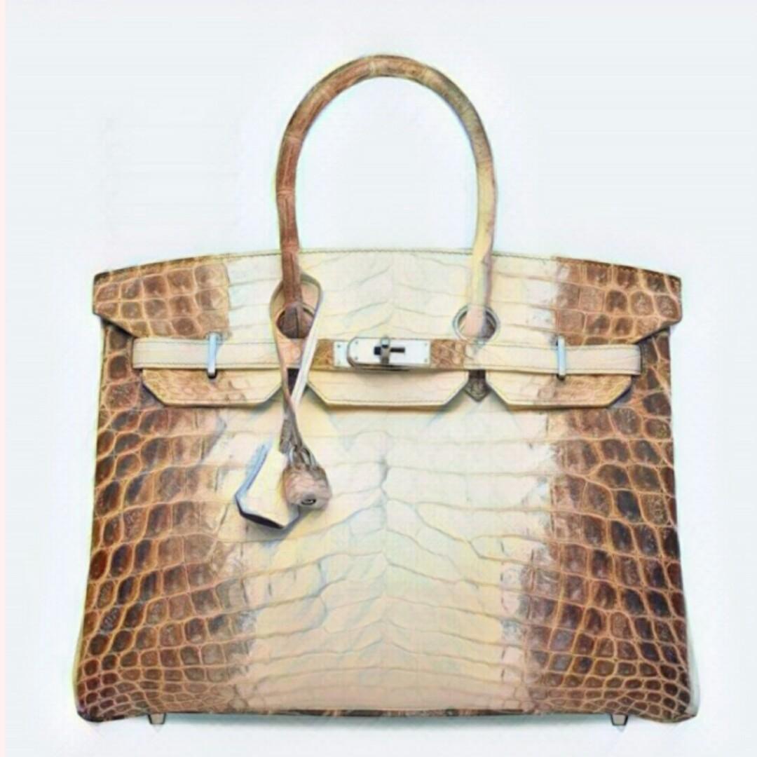 Himalayan Birkin Hermes Oil Painting Custom Design Everything Else On Carousell