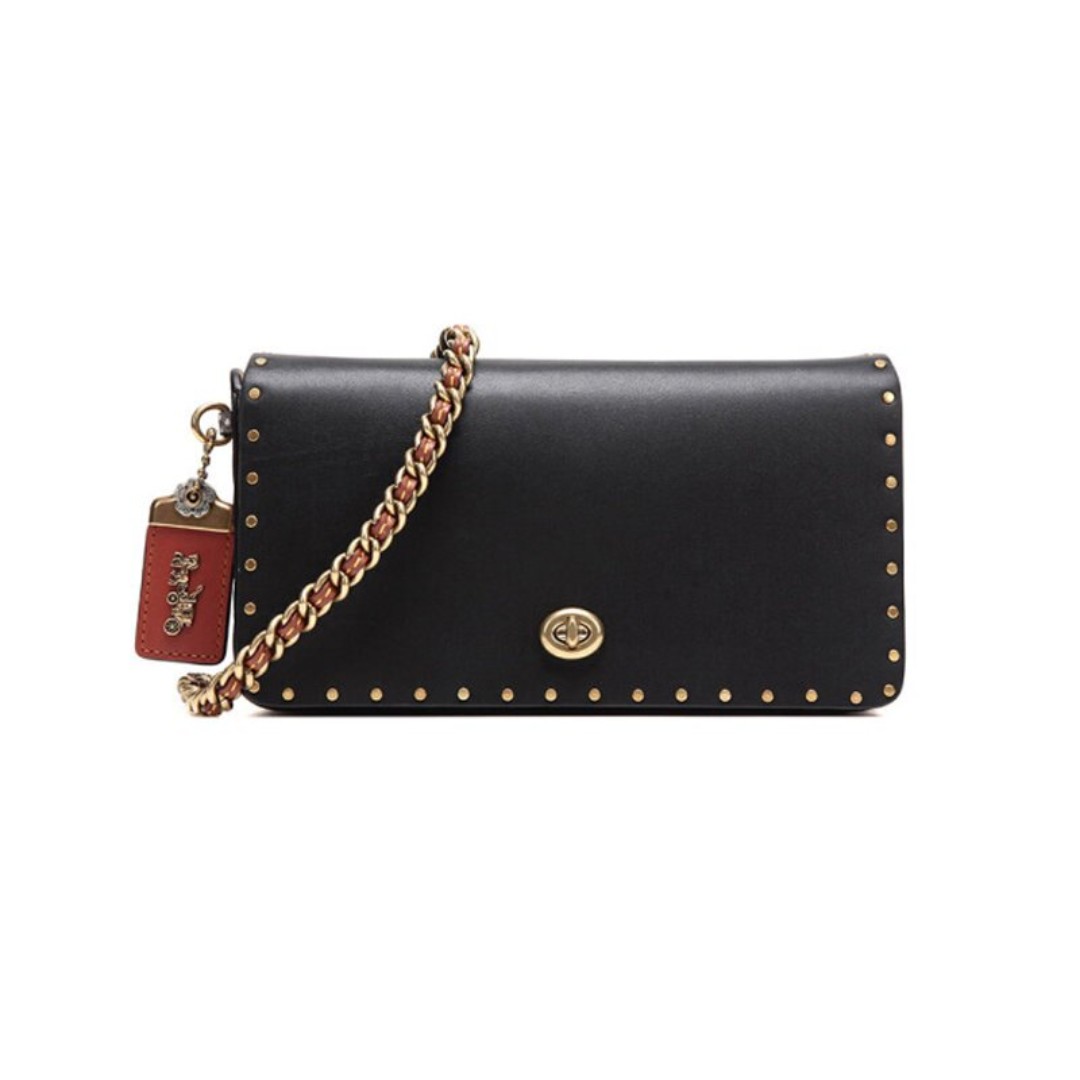 Coach sales dinky outlet