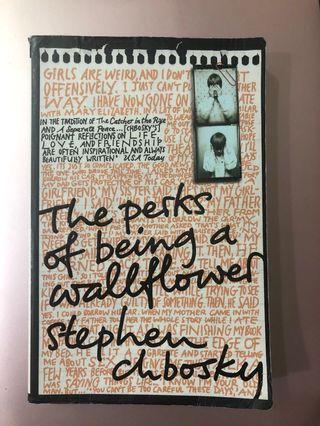 The Perks of Being a Wallflower (by Stephen Chbosky)