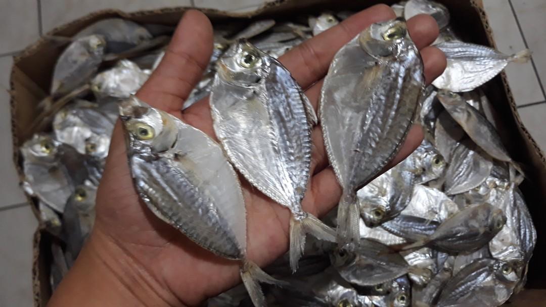 Dried Fish Sapsap Fresh From Cadiz Neg Occ Food Drinks On Carousell