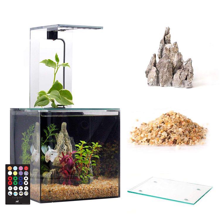 Ecoqube c aquarium store
