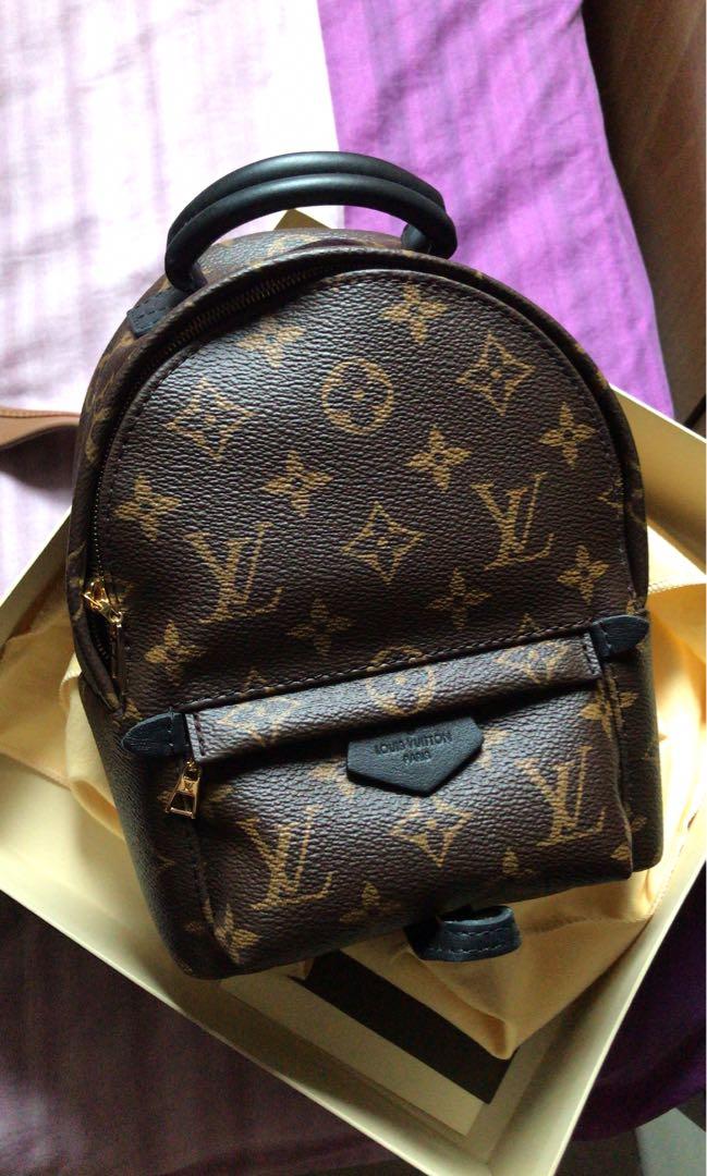 Louis Vuitton Palm Springs Mini Backpack Luxury Bags Wallets Sling Bags On Carousell