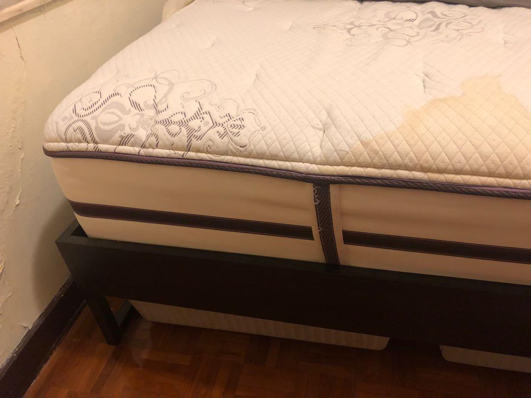 Beautyrest elite sale plush firm