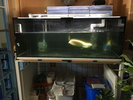4 Ft Fish Tank with stand for sale or trade for smaller tank