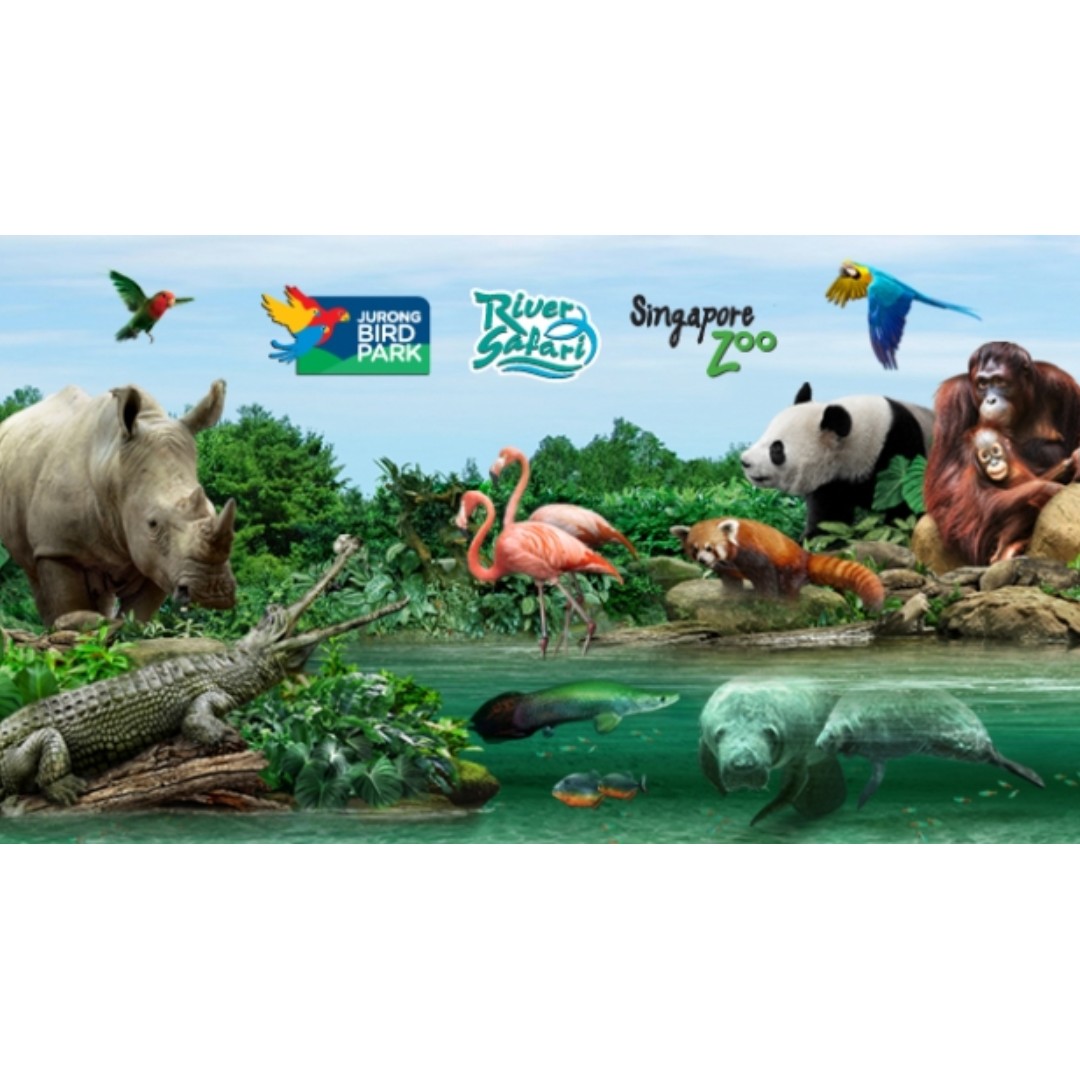 4in1 Wildlife Ticket Combo Zoo  River Safari  Birdpark  Night Safari 1561046284 F43965d00
