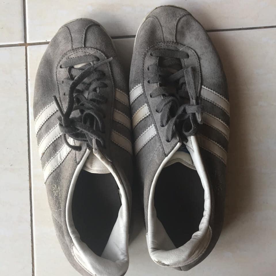gazelle 36