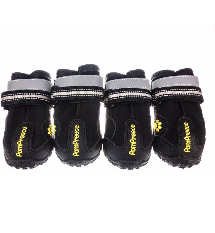 Pompreece dog shoes 2025