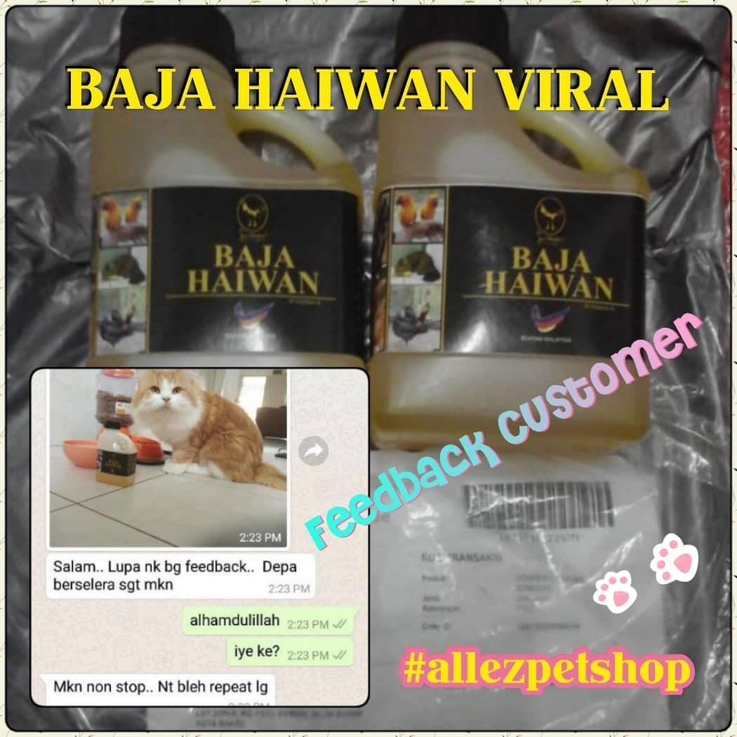 Promosi Termurah Baja Haiwan Vitamin Untuk Rawat Kucing Kurus Dan Bulu Gugur Pet Supplies Pet Food On Carousell
