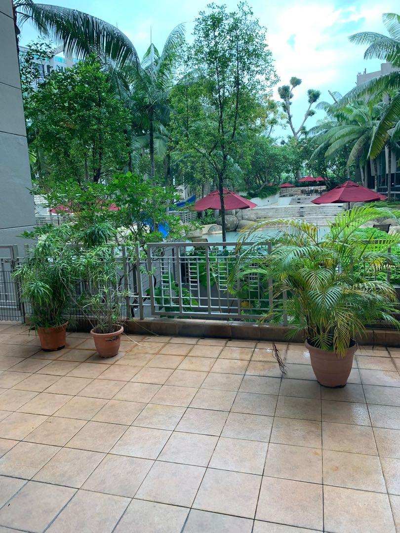 CHANGI RISE CONDOMINIUM, Property, Rentals, Condos & ECs on Carousell