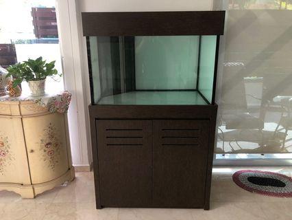 322 fish tank with sump