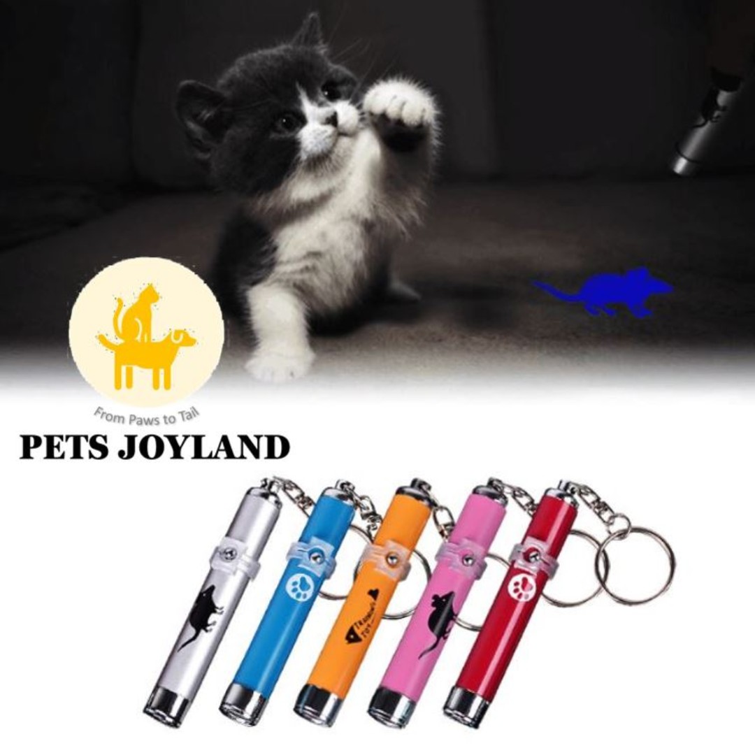 laser light toy