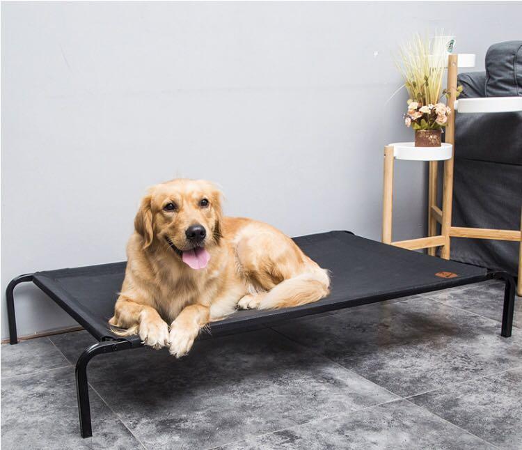 dog day bed