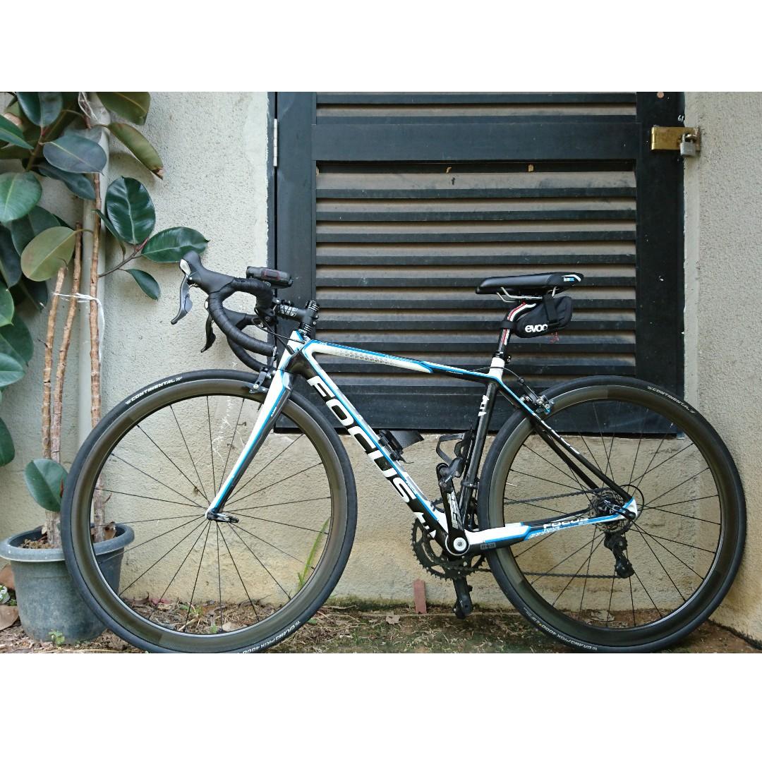 Focus cayo evo 4.0 store