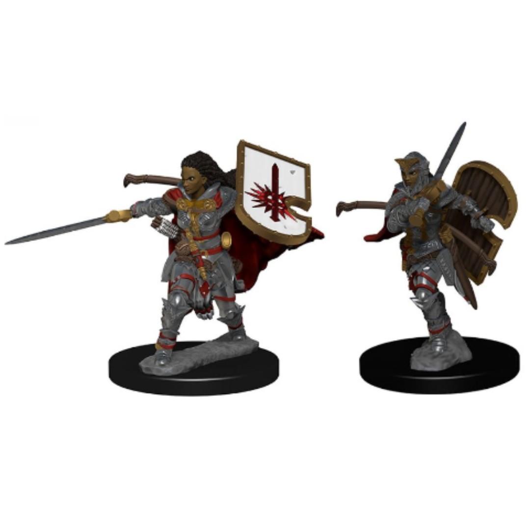 Female Human Paladin miniature 28mm metal painted for Pathfinder ...