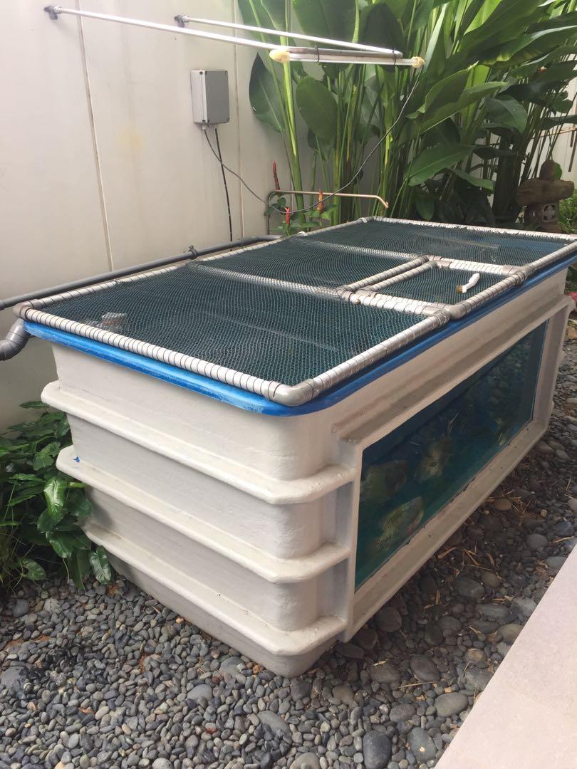 fibre fish tank