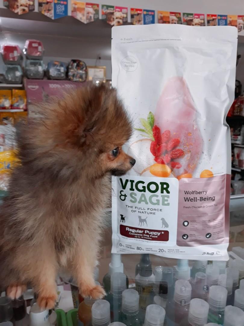 Vigor Wellbeing Puppy Pet Supplies Food On Carousell