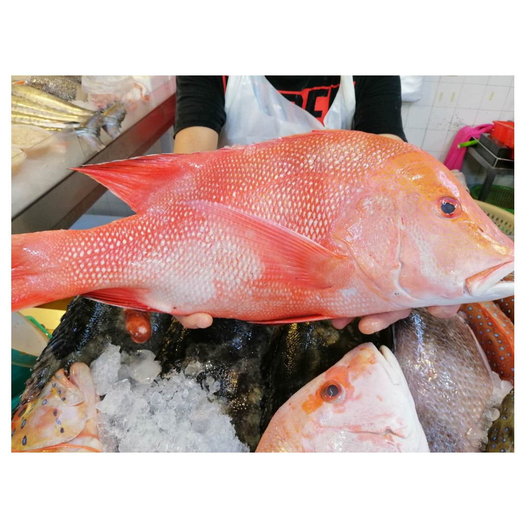 Red emperor price per kilo Clearance