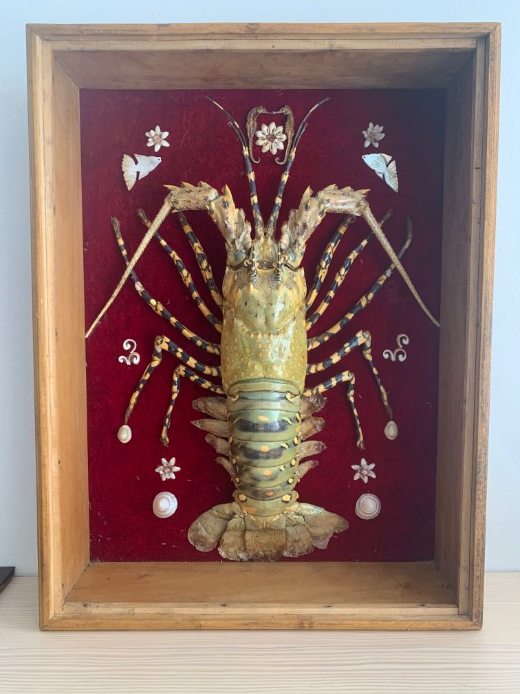 frame, display Items Religious Memorabilia Collectibles, & Hobbies Toys, Lobster box & in on Carousell Real