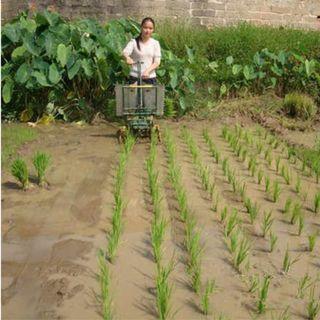Rice Transplanter(CY-2 )
