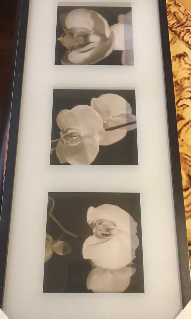 Brand New Ikea Wall Decor Everything Else On Carousell