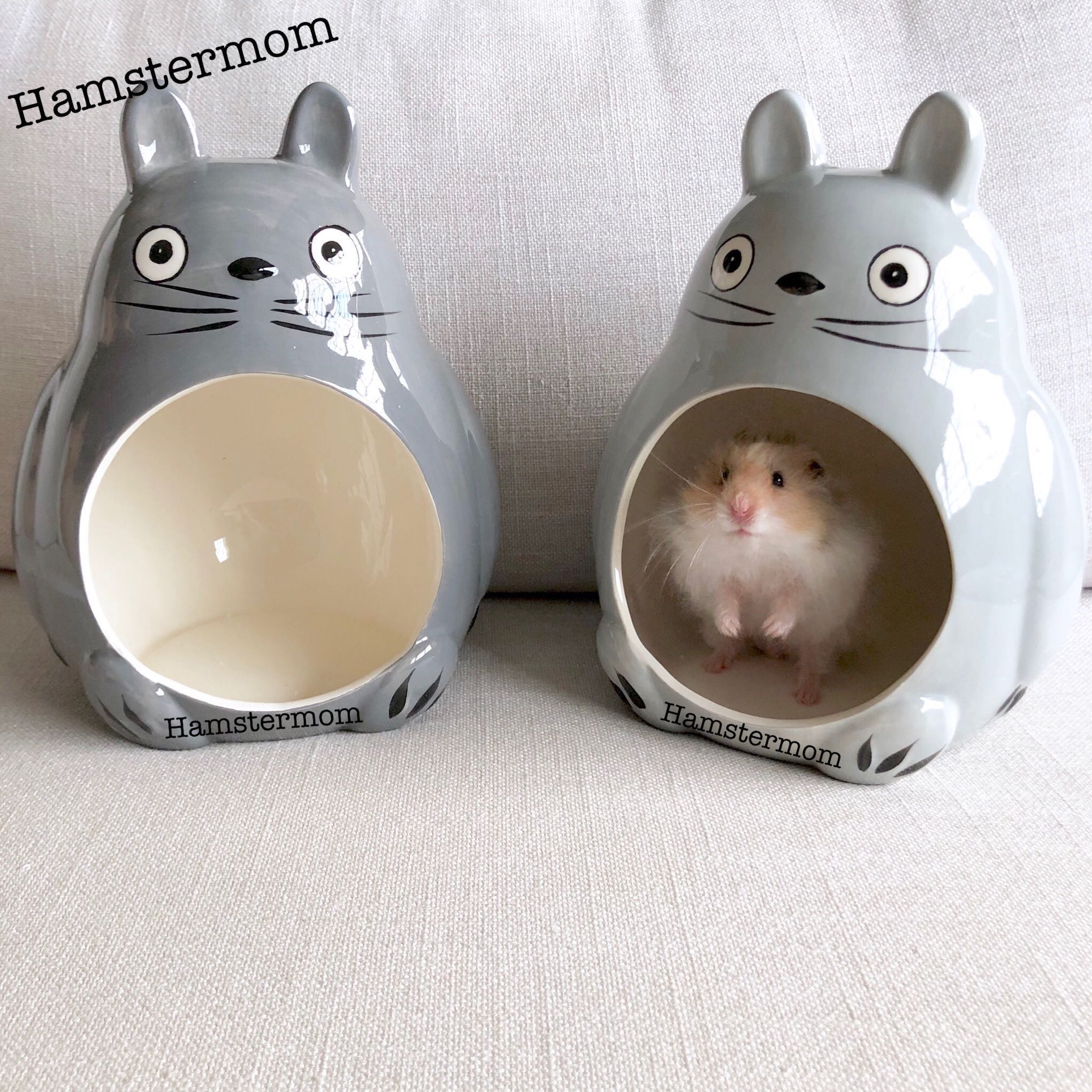 ceramic hamster house