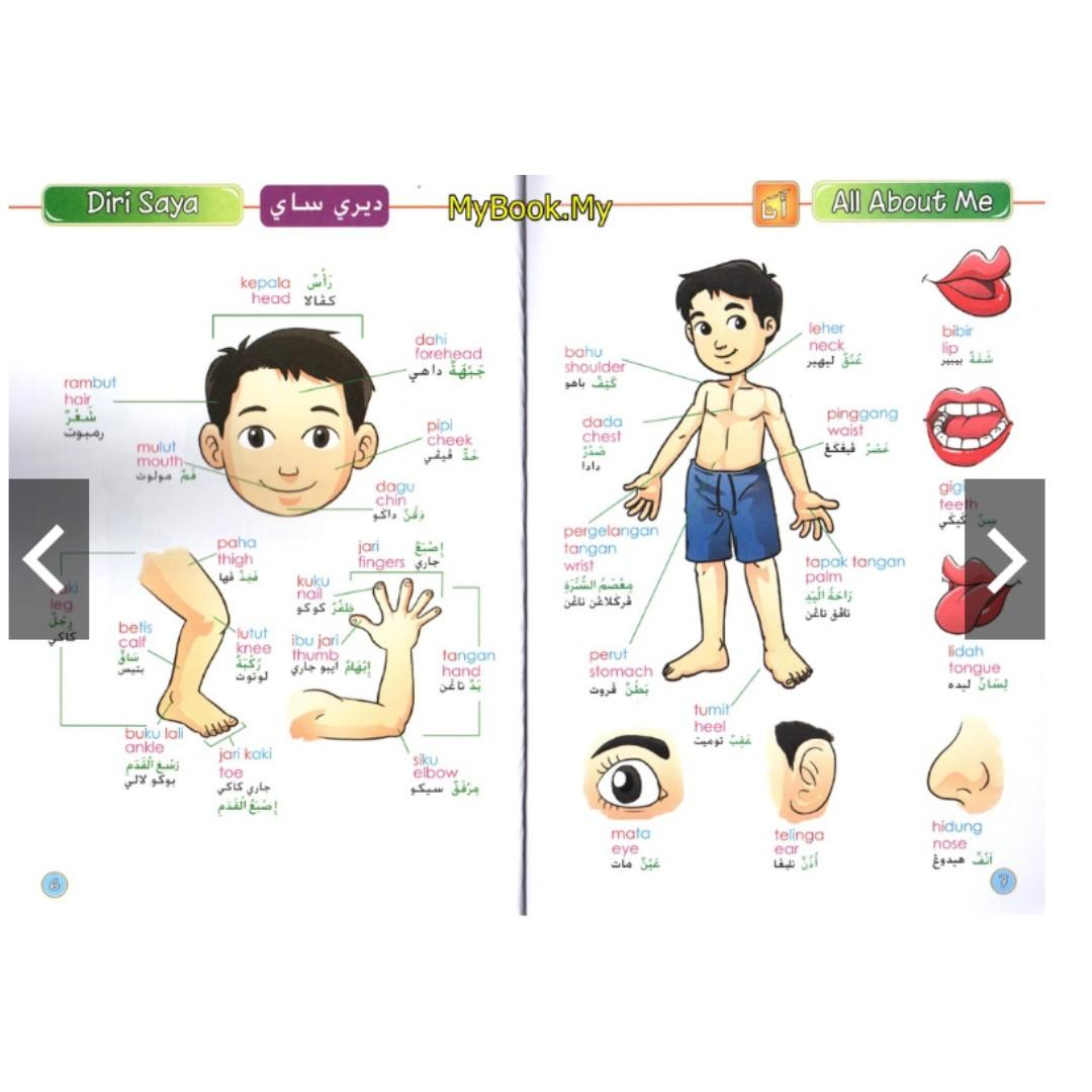 Pustaka Kamus Bergambar Tiga Bahasa Malaysia Inggeris Arab Jawi Kids Book Kids Islamic Books Hobbies Toys Books Magazines Assessment Books On Carousell