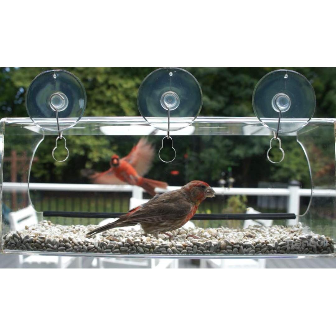 Best Window Bird Feeder With Strong Suction Cups Seed Tray