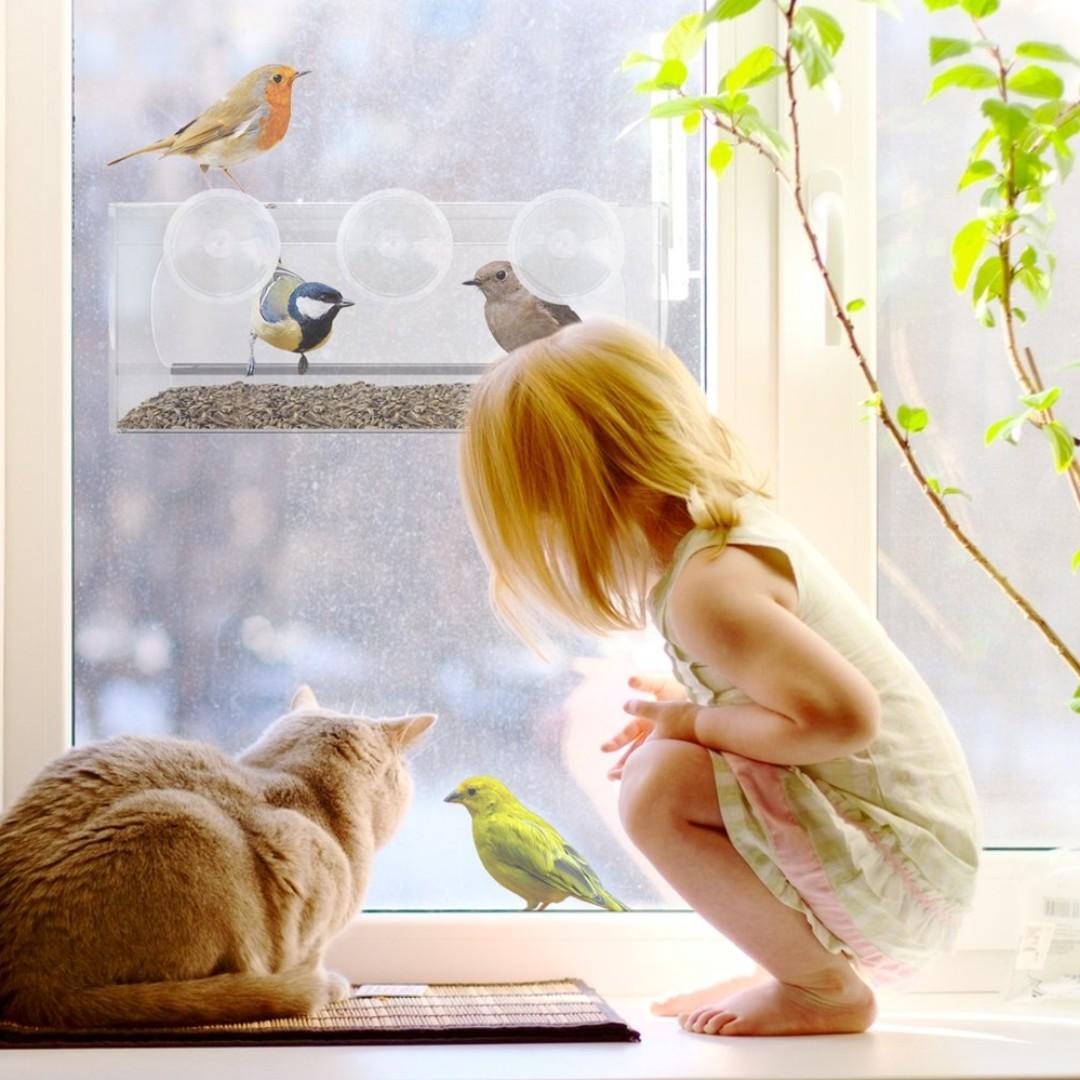 Best Window Bird Feeder With Strong Suction Cups Seed Tray