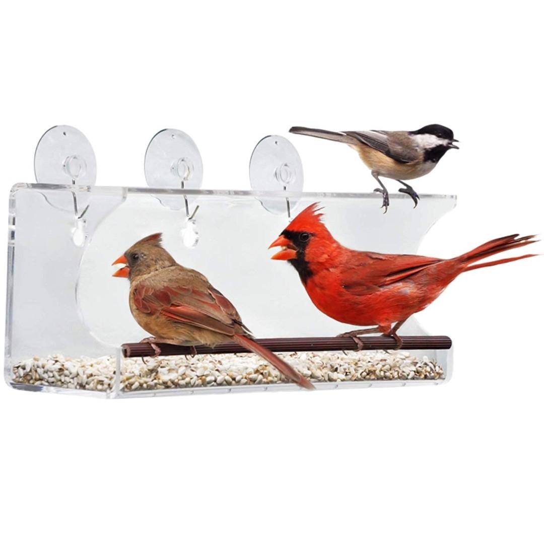 Best Window Bird Feeder With Strong Suction Cups Seed Tray