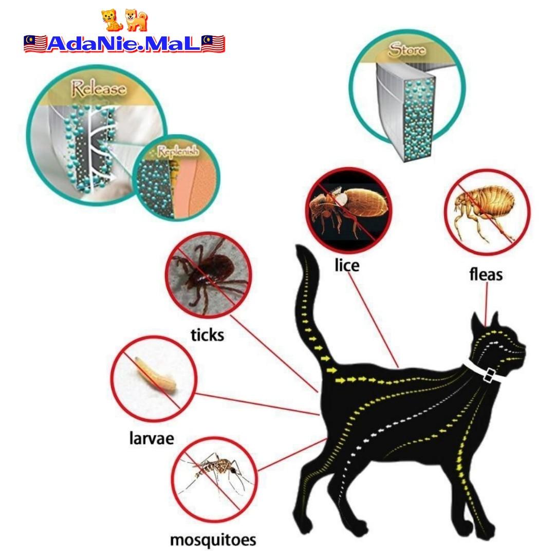 FLEA OUT  UBAT KUTU KUCING ANJING  PET CAT DOG, Pet Supplies 