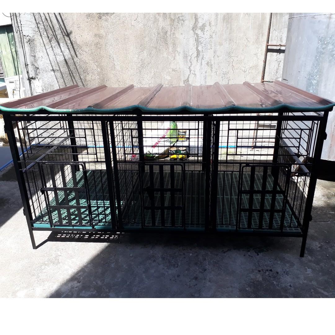 3 dog top cage