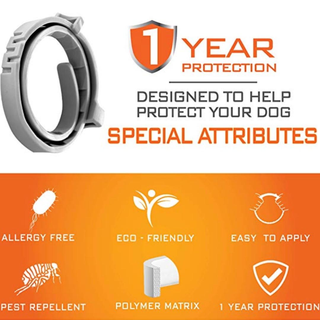 Masold flea and tick collar online