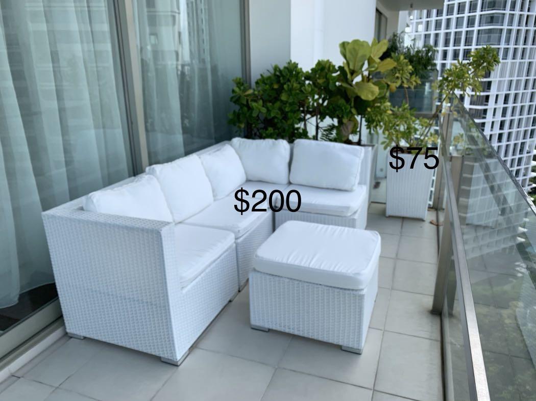 Outdoor Plants And Pots Gardening Plants On Carousell