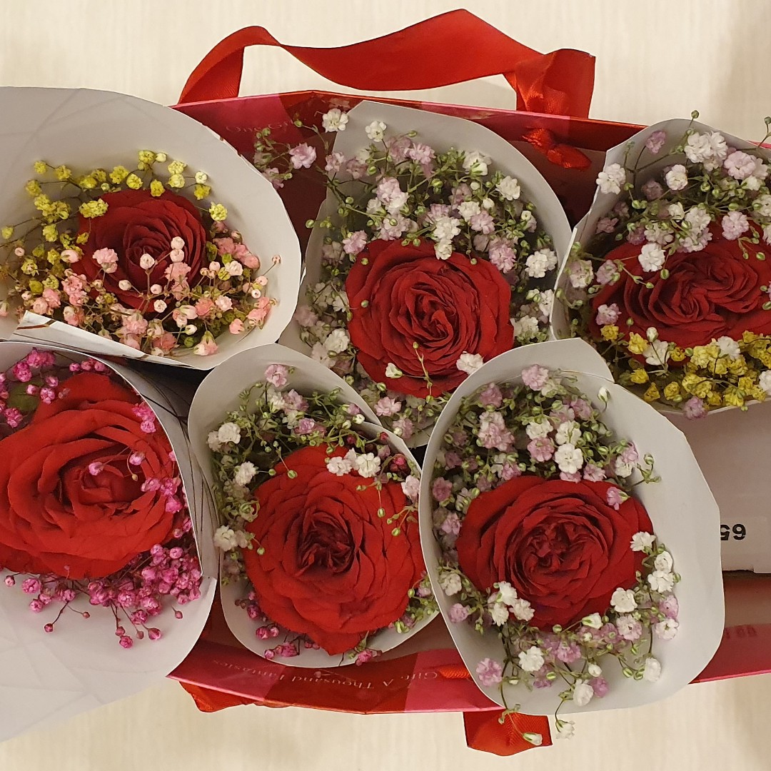 Single red rose with baby breath, Hobbies & Toys, Stationery & Craft,  Flowers & Bouquets on Carousell