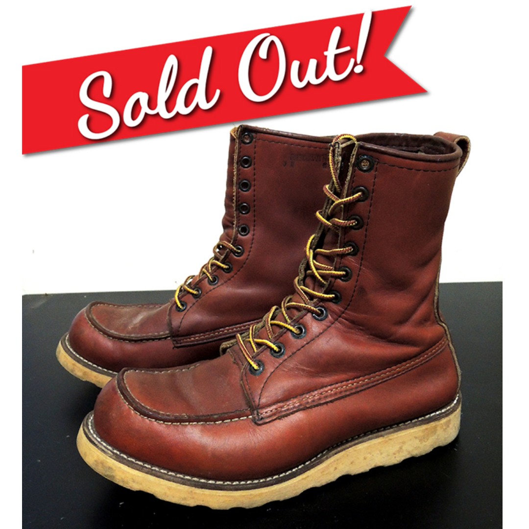 Irish setter 877 hotsell
