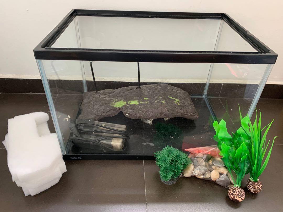 Fish Turtle Terrapin Tank Set, Pet Supplies, For Fish, Fish Tanks on