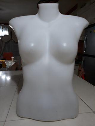 Half body mannequin