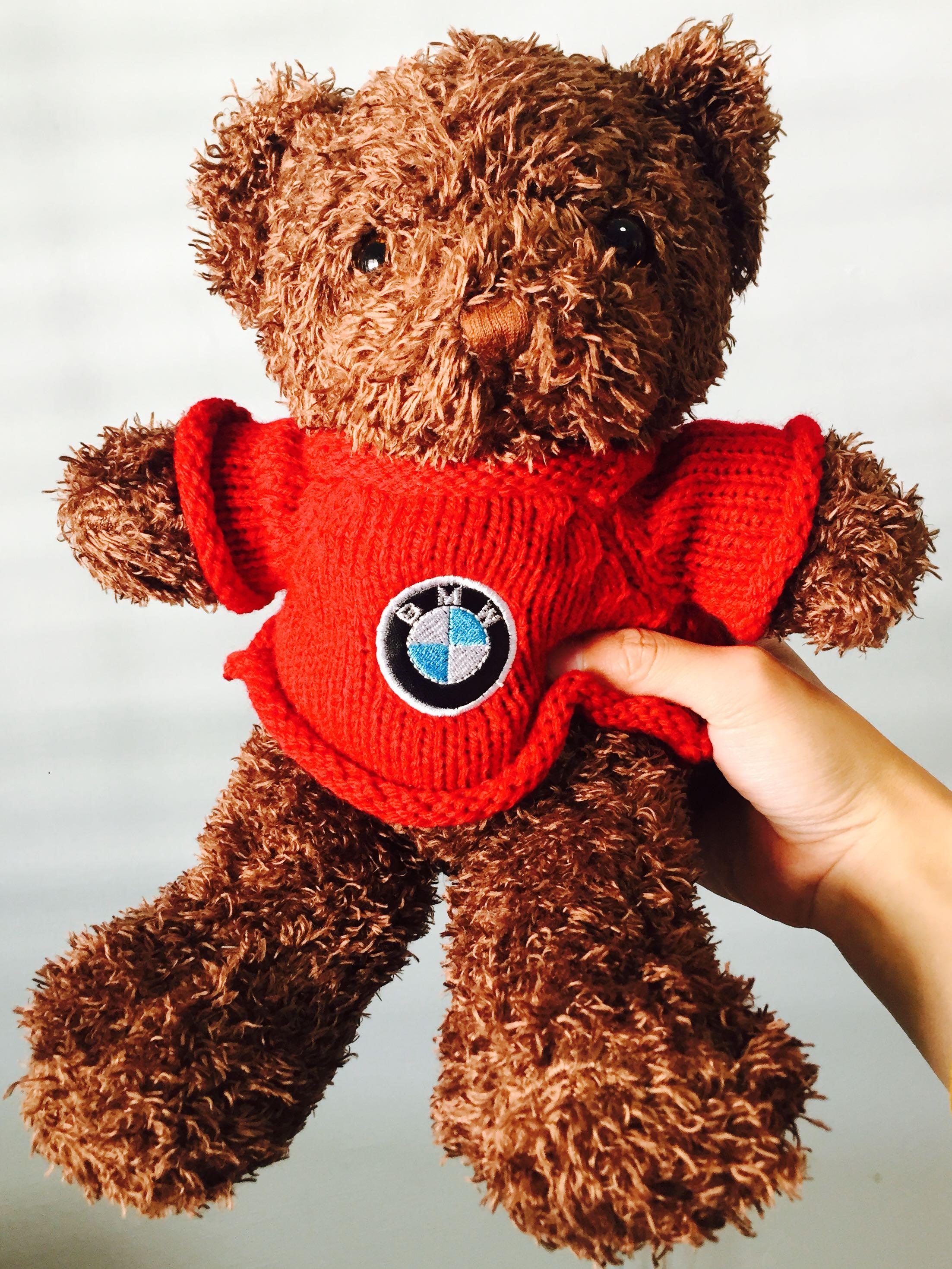 Teddy bmw top